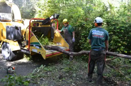 tree services Burt